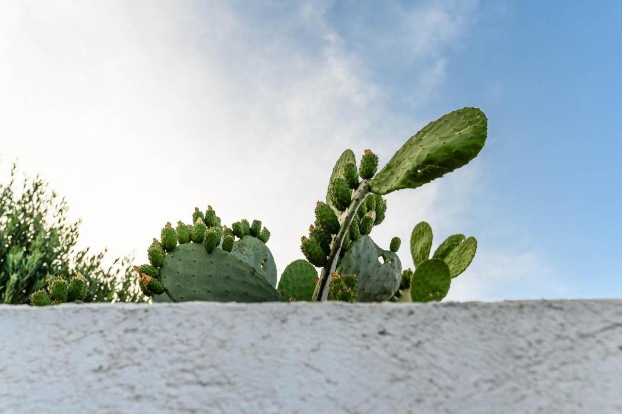 Charming Villas - Villa D'Itria With Trullo Ostuni Εξωτερικό φωτογραφία